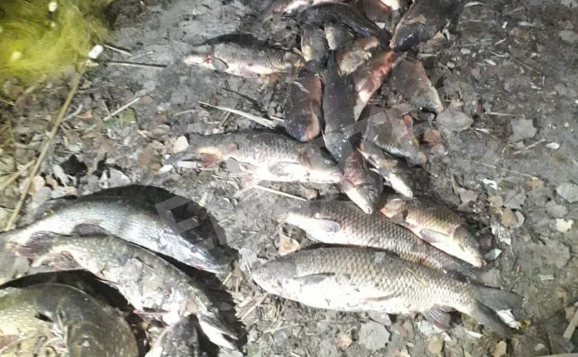 Запорожские браконьеры наловили на десятки тысяч гривен