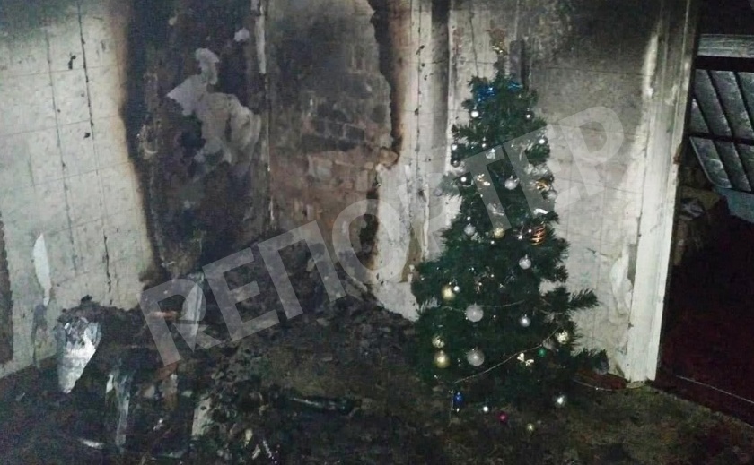 Огнеборцы Запорожья спасли на пожаре собаку