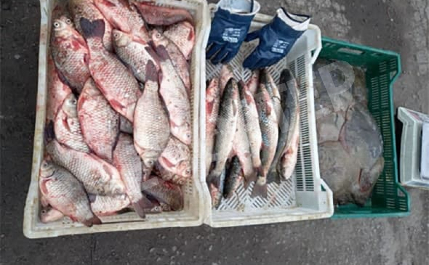 В Запорожье рыбнадзор изъял 36 кг нелегальной рыбы