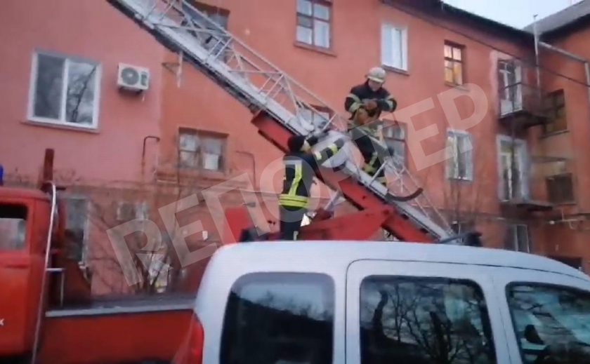 В Запорожье семь пожарных спасали кота и успокаивали граждан