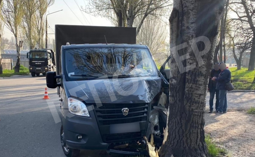 Водитель «ГАЗ» в Запорожье въехал в дерево и погиб