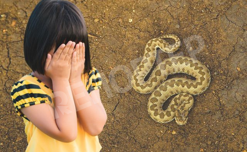Противоядие от укуса змеи запорожской девочке ввели слишком поздно