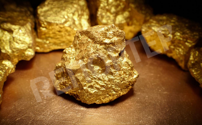 Месторождение золота в Запорожской области уже успели отдать в частные руки