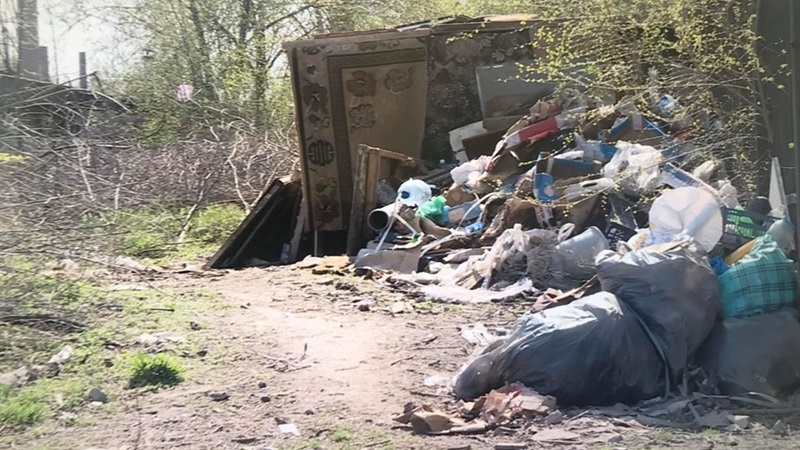 В Запорожье полгода не вывозят мусор
