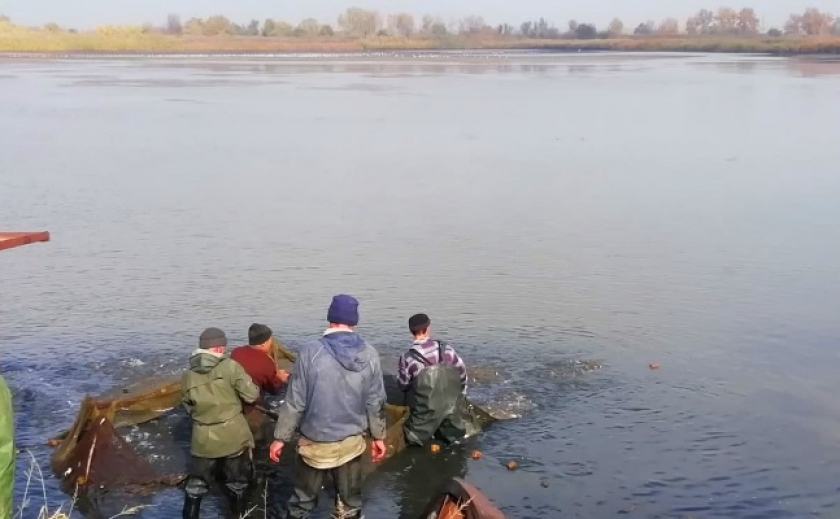 В Запорожье эко-нарушитель возместил ущерб, «зарыбив» Каховское водохранилище