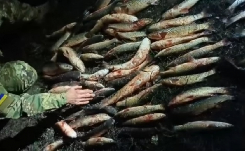 40 кг пеленгаса и камбалы: Бердянские пограничники обнаружили браконьера на Утлюкском лимане