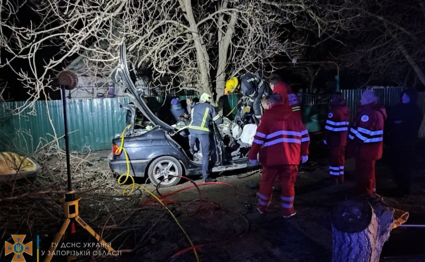 В Запорожской области автомобиль «BMW» влетел в дерево: пострадал водитель