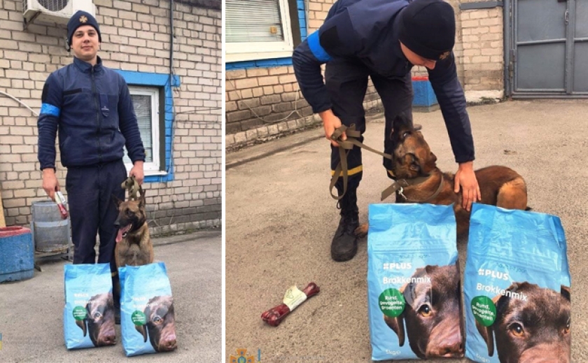 Львовские волонтеры собрали гуманитарную помощь из Европы для животных и передали ее в Запорожскую область