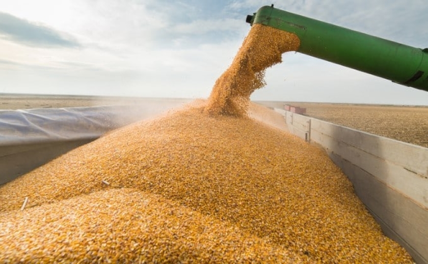 Украли 61 тонну пшеницы: СБУ расследует вывоз российскими военными зерна в Запорожской области