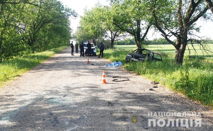 На Запорожье полицейские задержали нетрезвого водителя, совершившего ДТП со смертельным исходом