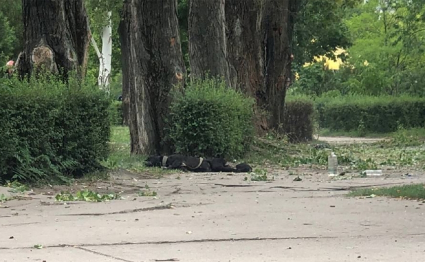 Під час обстрілу в Енергодарі загинув майстер цеху ЗАЕС, що вигулював собаку: Ситуація в Запорізькій області на ранок 15 серпня