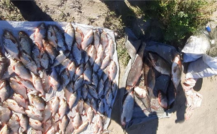 Незаконні дії на території Дніпровського водосховища: завдано збитків на понад 300 тис грн.