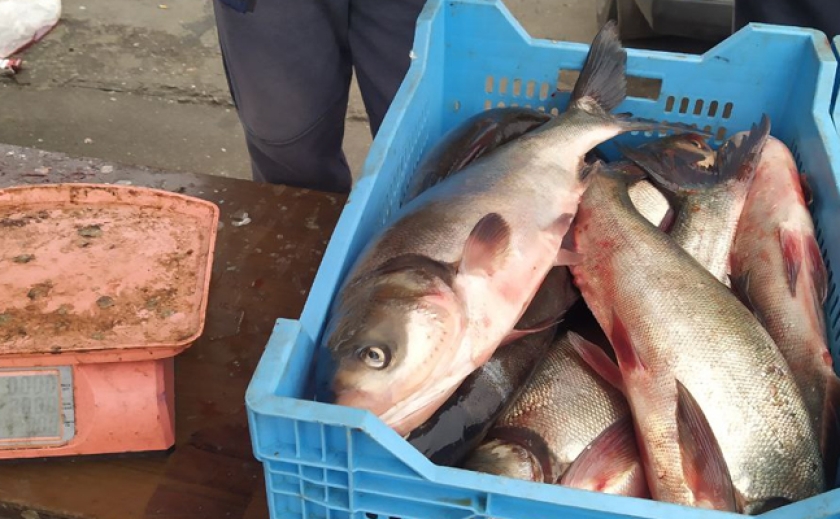 Не мали документів, які б підтвердили законність вилову: В Запоріжжі рибпатруль оштрафував продавців риби