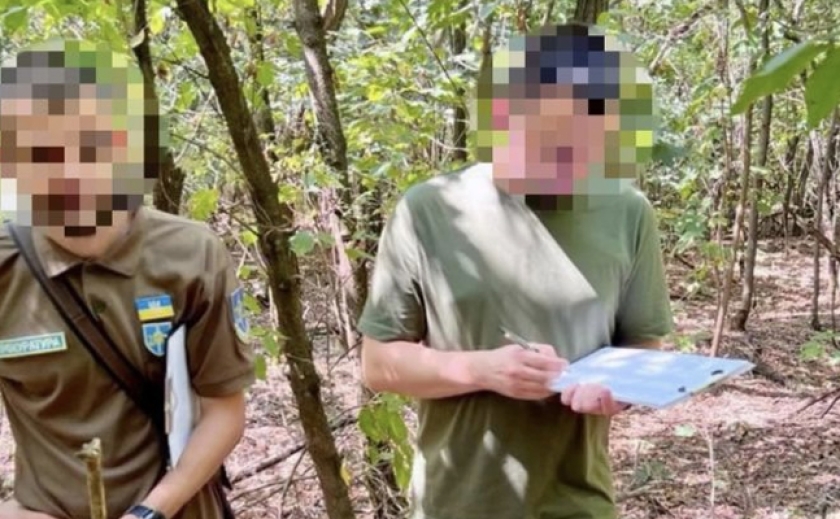 «Нарубили» на 2 млн. грн.: ДБР на Запоріжжі підозрює лісничого з підлеглими у зловживанні службовим становищем