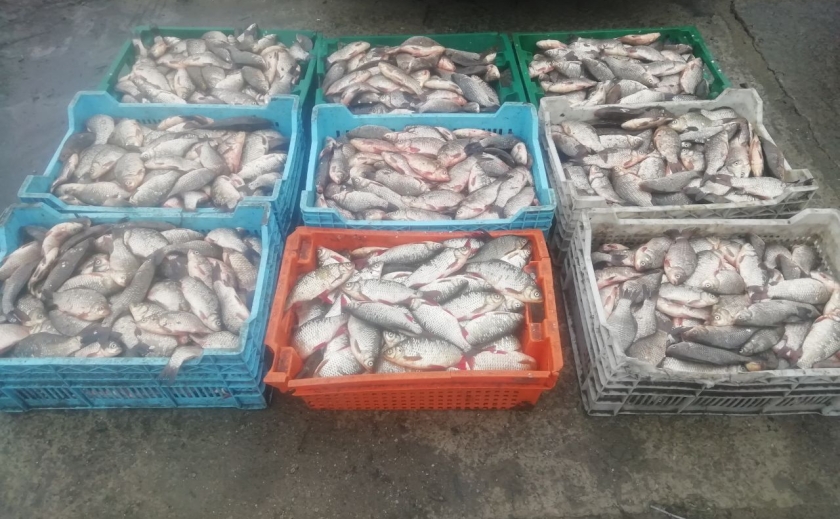 255 кг незаконно виловленої риби: на Запоріжжі поліцейські спіймали перевізника на блокпосту