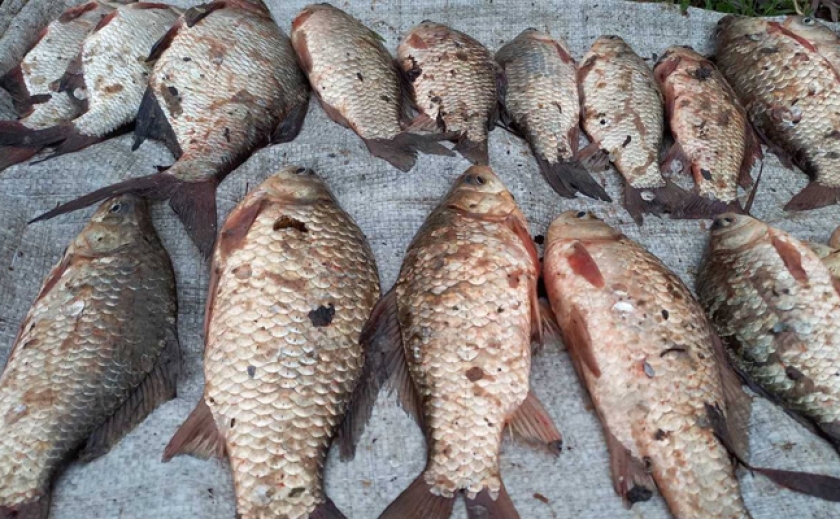 На водосховищі в Запорізькій області рибінспектори оштрафували рибалку на 36 тис. грн. за 5 кг риби