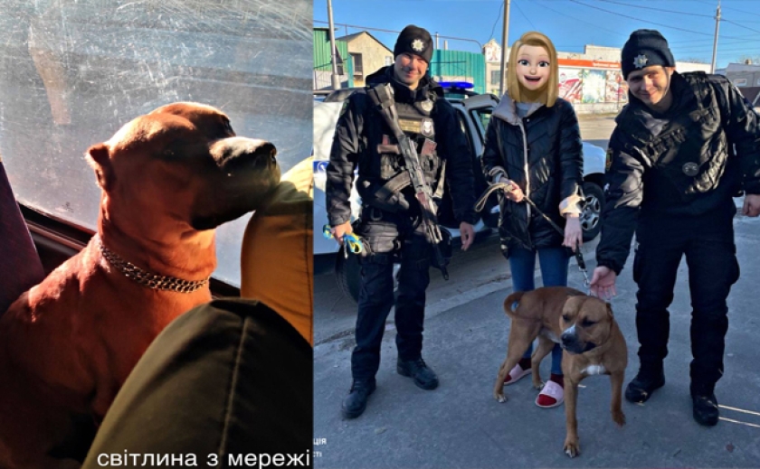 Патрульні поліцейські в Запоріжжі знайшли господарку собаки, який загубився