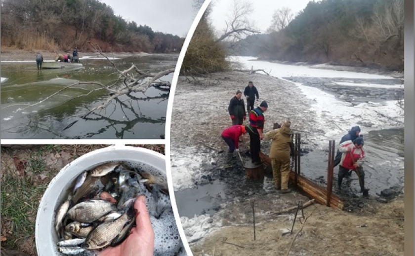 Люди та Запорізький рибоохоронний патруль рятують рибу із крижаних пасток