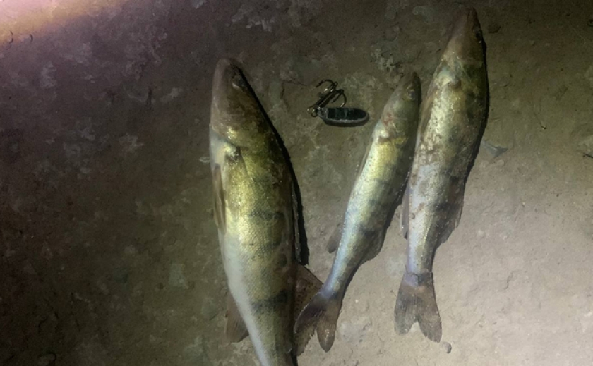 «Наловили» на 42 тис. грн.: На Запоріжжі рибпатруль оштрафував браконьєрів на зимувальних ямах та з забороненими знаряддями лову