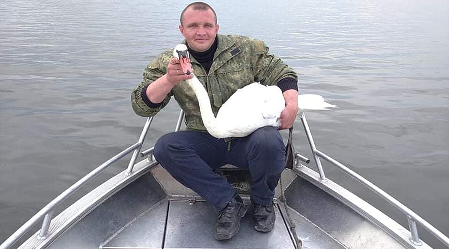 Запорожская полиция подарила раненому лебедю крылья
