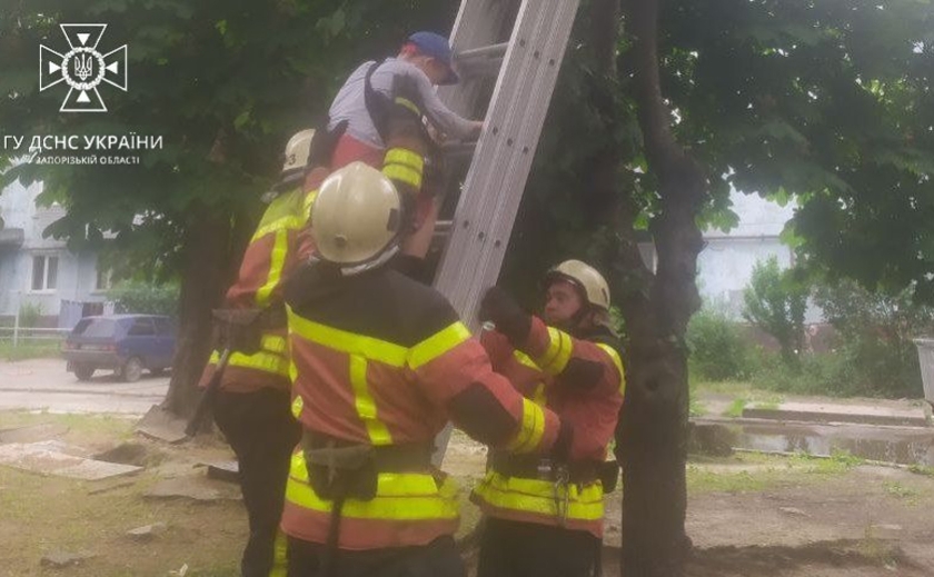 Запорізькі рятувальники зняли з 3-метрового дерева неповнолітнього хлопця