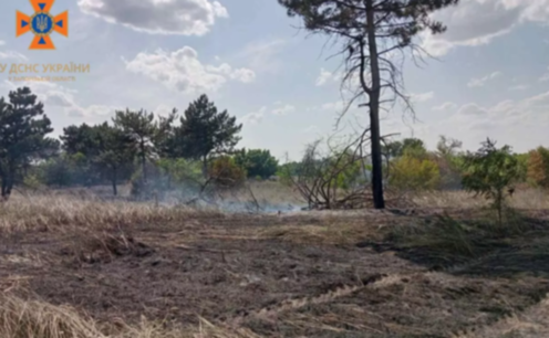Рятувальники Запоріжжя ліквідували лісову пожежу