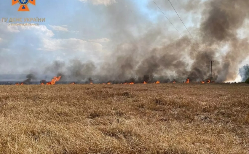 За минулу добу рятувальники ліквідували 9 пожеж в екосистемах Запоріжжя