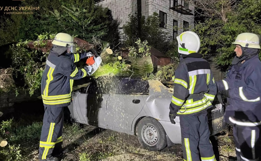 Заблоковані деревами автівки та дороги: запорізькі рятувальники ліквідували наслідки негоди