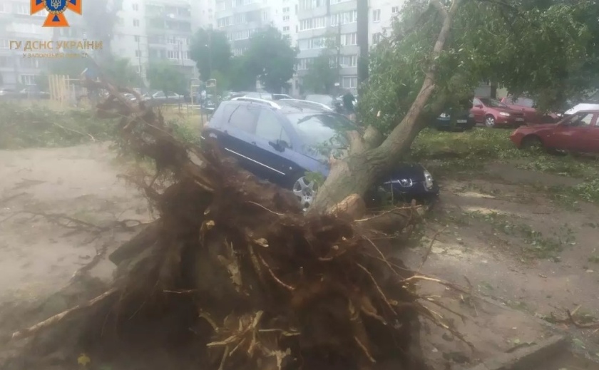 Запорізькі рятувальники ліквідовують наслідки нічної зливи Запорізькі рятувальники ліквідовують наслідки нічної зливи