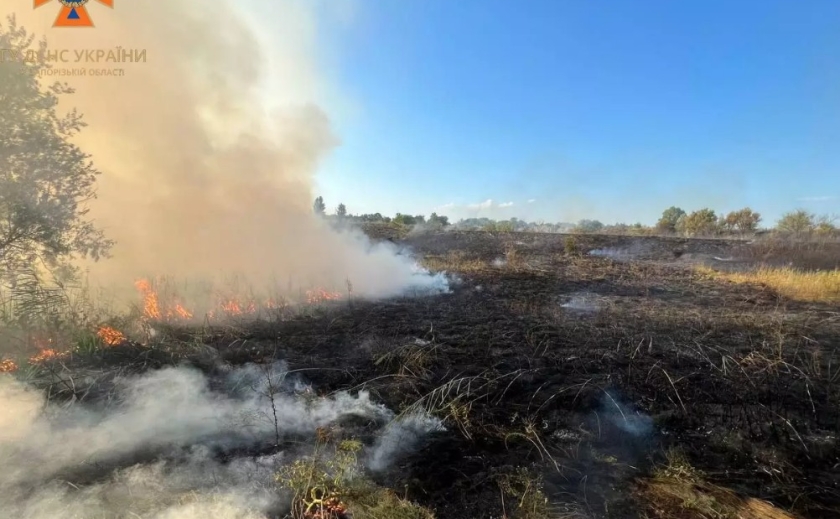 За минулу добу на території області рятувальники ліквідували 2 пожежі в екосистемах
