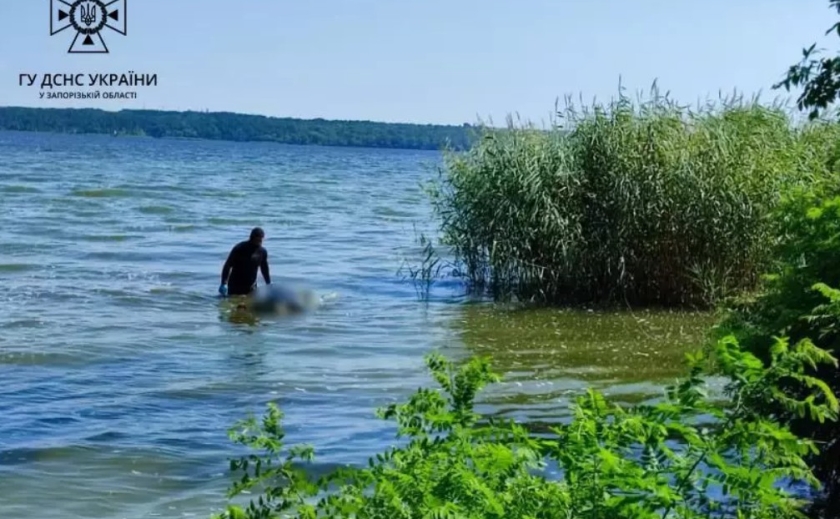 У Запорізькому районі водолази ДСНС вилучили з водойми тіло загиблого чоловіка