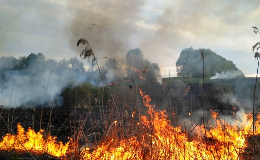 За минулу добу на території Запорізької області ліквідували 14 пожеж в екосистемах