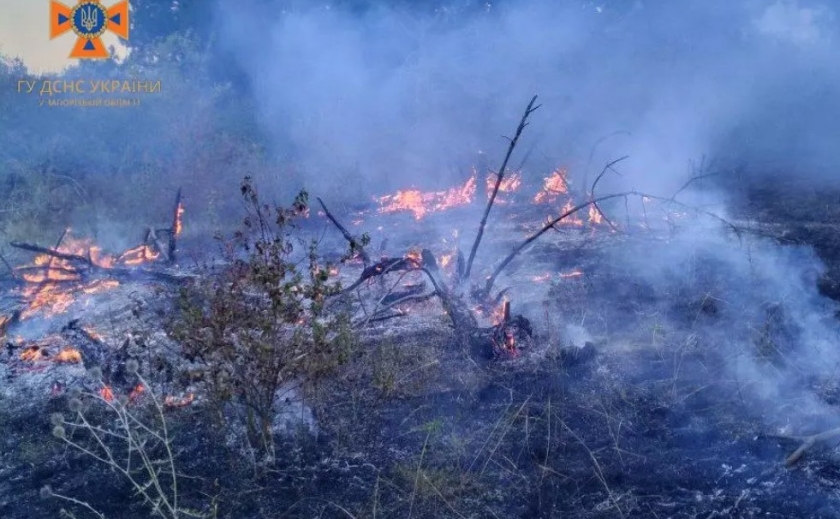 За минулу добу на Запоріжжі ліквідували 7 пожеж в екосистемах