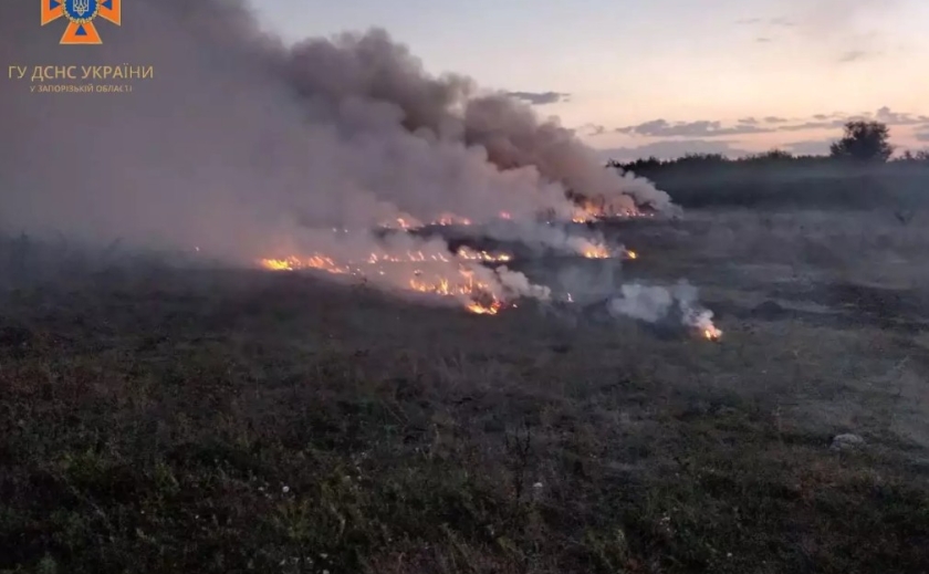 За минулу добу на території Запорізької області рятувальники ліквідували 5 пожеж в екосистемах