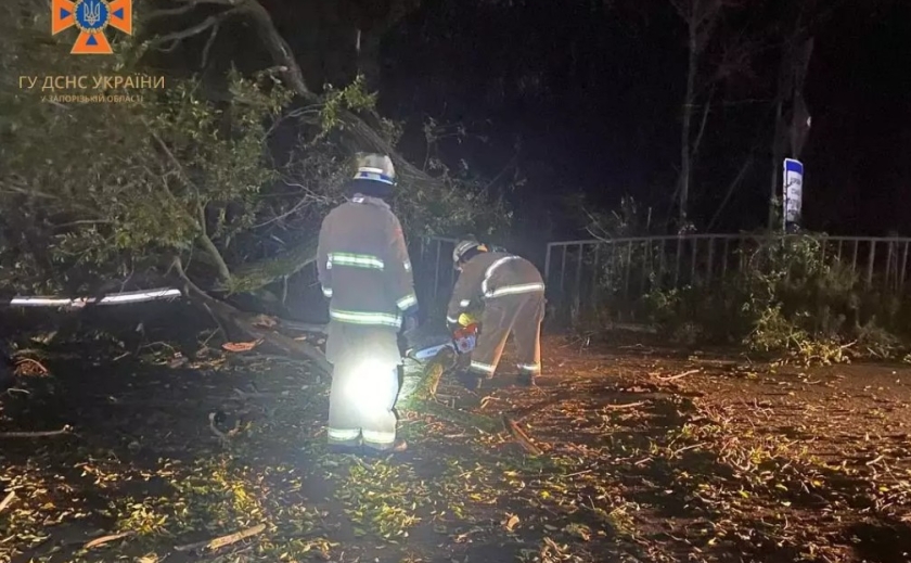 Запорізькі рятувальники прибрали дерева, які впали внаслідок поривів вітру