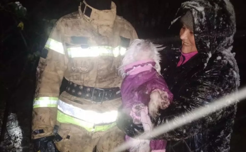 Хвилинка доброти: рятувальники Запоріжжя допомогли песику вибратися зі снігової пастки