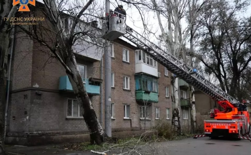 Повалені дерева, пошкоджений автомобіль: рятувальники Запоріжжя ліквідували наслідки негоди