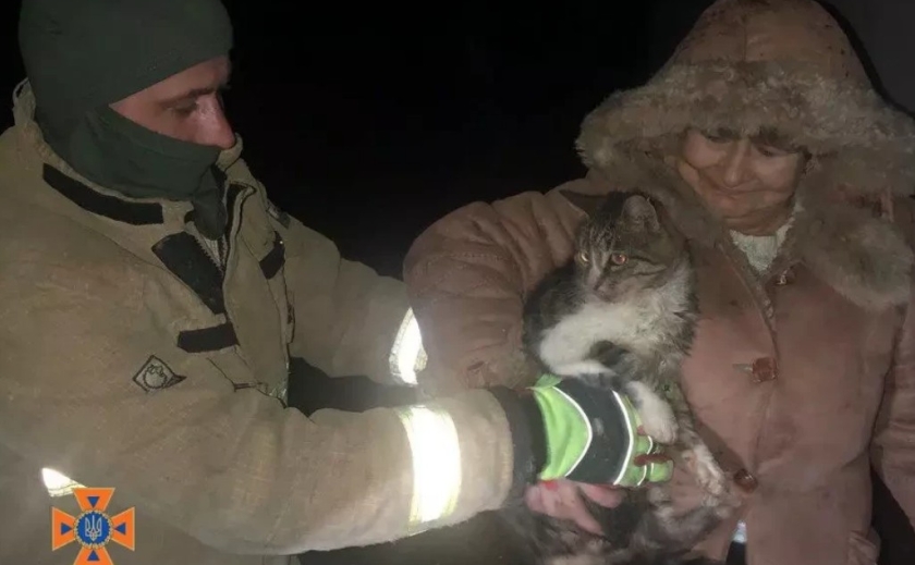 У Запоріжжі співробітники ДСНС врятували котика