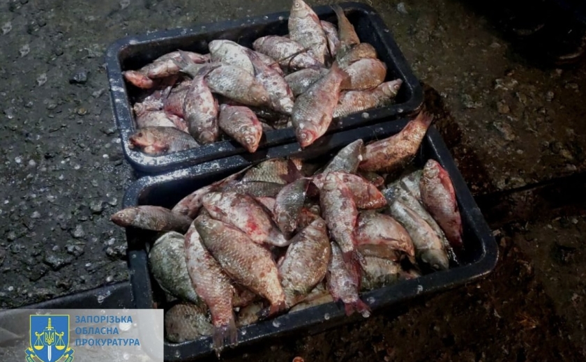 Наловили риби на майже 1,5 млн грн: на Запоріжжі затримали двох чоловіків за незаконний вилов