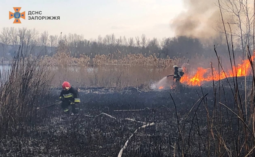 Рятувальники Запоріжжя ліквідували пожежу в екосистемі: деталі
