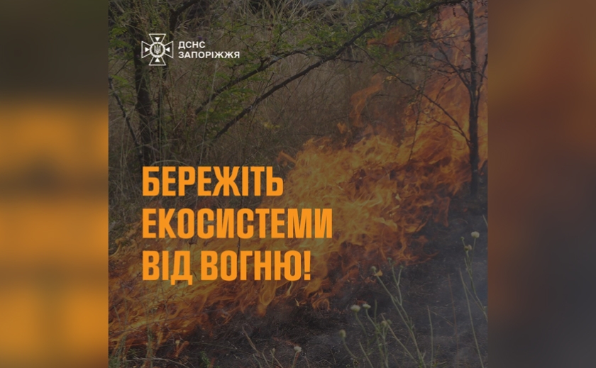 За минулу добу рятувальники Запоріжжя ліквідували 3 пожежі в екосистемах