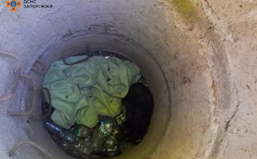 У Запоріжжі співробітники ДСНС витягли собаку з каналізаційної ями