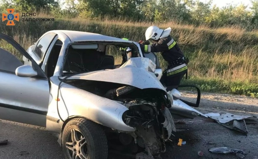 Не впорався з керуванням: у Запорізькому районі під час ДТП загинув водій