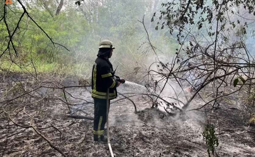 У Запоріжжі ліквідували пожежу на території Національного заповідника «Хортиця»