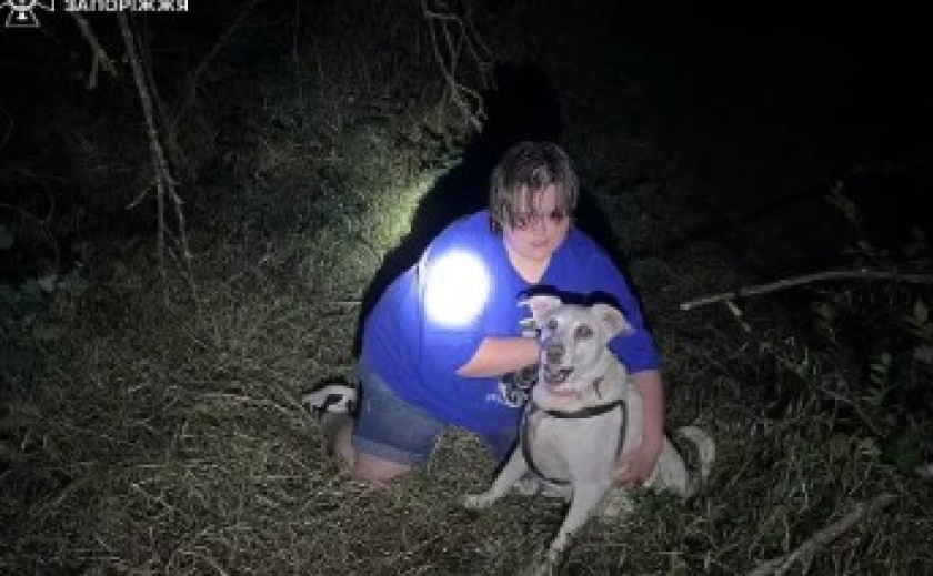 Запорізькі надзвичайники врятували собаку з комунікаційного колодязя