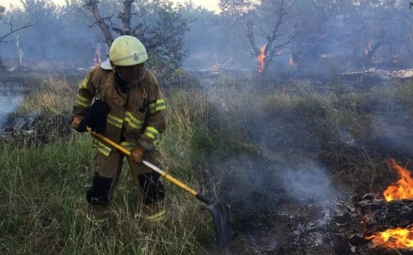 За минулу добу на території Запорізької області рятувальники ліквідували 3 пожежі в екосистемах