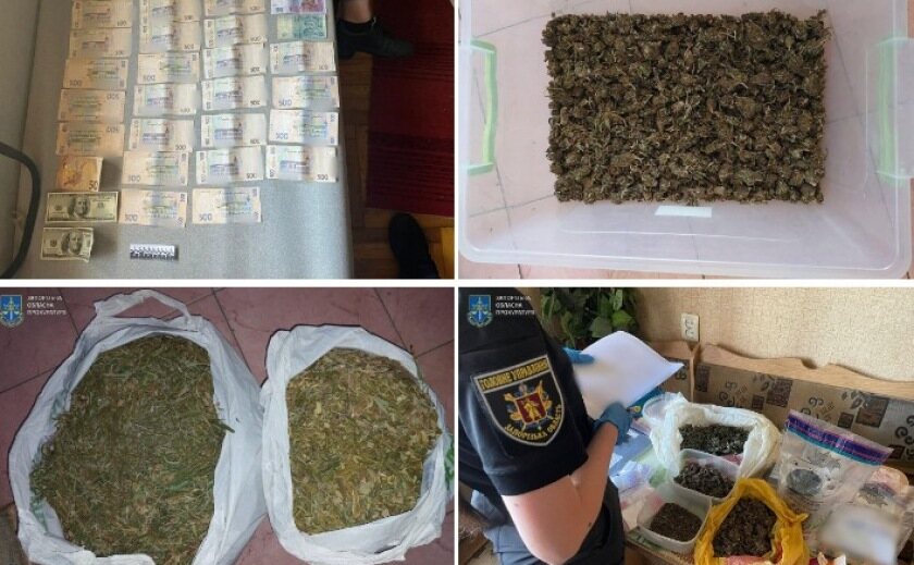 Організували вирощування та збут канабісу в Запоріжжі: викрито групу осіб