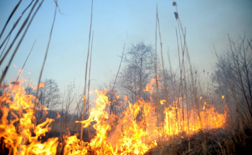 За минулу добу надзвичайники Запоріжжя ліквідували 5 пожеж в екосистемах