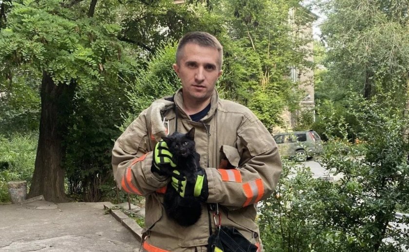 Надзвичайники у Запоріжжі врятували котика
