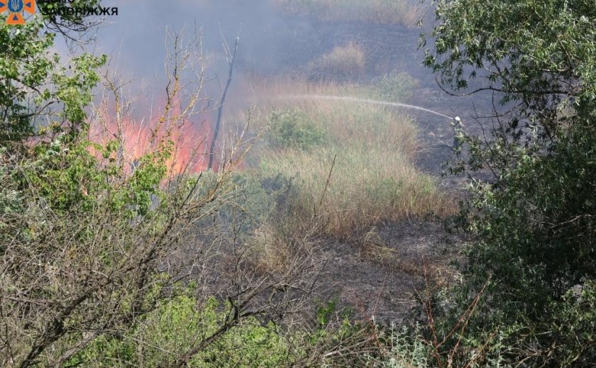 У Запоріжжі рятувальники ліквідували масштабну пожежу на відкритій території У Запоріжжі рятувальники ліквідували масштабну пожежу на відкритій території